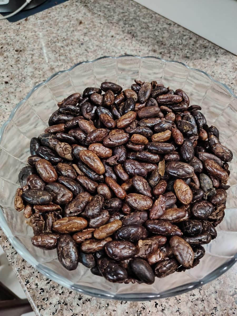 Granos de cacao seleccionados